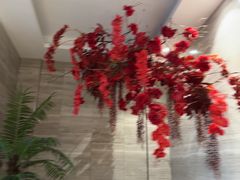 -唐宫足道·SPA·住宿24H会所(木渎店)