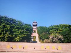 -福神岗公园