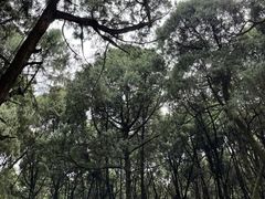 -七曲山风景区