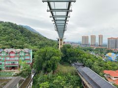 -客天下恐龙水晶玻璃桥