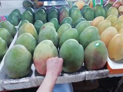 -南沙十九涌渔人码头-南门