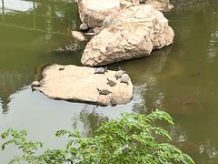 -三亚南山文化旅游区