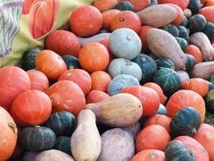 -前小桔亲子创意农场·草莓采摘·露营烧烤