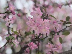 -同济大学-北苑食堂