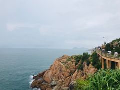 -广东惠东海龟国家级自然保护区