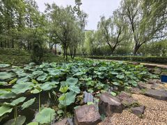 -大宁公园