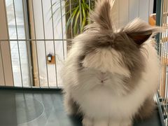 -小意思咖啡店(草桥店)