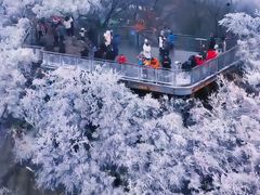 -大鹏饭店·金陵家宴(奥体中心店)