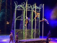 -水秀国际大剧院