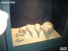 -亚龙湾中心广场·贝壳馆