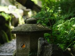 -料亭菊水楼