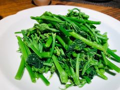 豌豆尖-滇越乘象云南餐厅(豆各庄店)