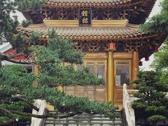 -上海东林寺(金山区)