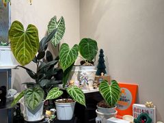 -Dogi&kiki Coffee(中心商务大厦店)