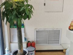 -宜华康盲人按摩(马连洼旗舰店)