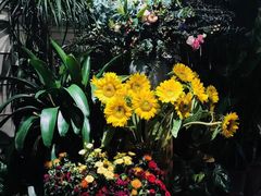-春暖花开(西溪店)