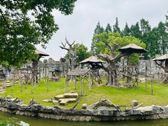 -上海野生动物园