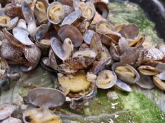 -良友·海鲜青岛菜(五四广场店)