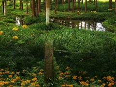 -杭州植物园