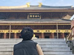 -午潮山国家森林公园