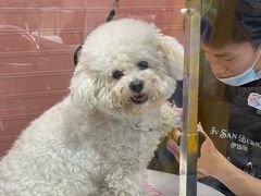 -FAELING PETS美天灵宠物(合生汇店)