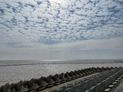 -南汇嘴观海公园