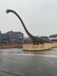 -恐龙探索乐园(磁器口店)