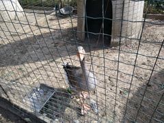 -意大利农场度假村