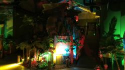 -恐龙探索乐园(磁器口店)