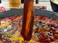 现划鳝鱼-铜元老码头鳝鱼火锅