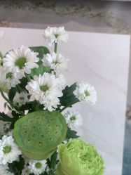 -HEYAN长风荷妍专业脱毛美肤
