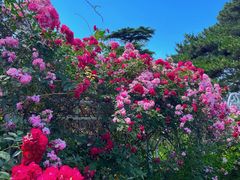 -国家植物园南园