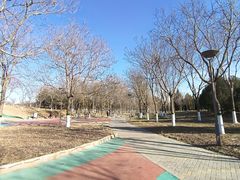 -大兴滨河森林公园