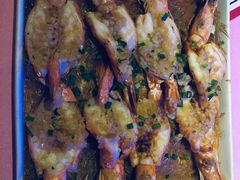 -胡桃里音乐酒馆(石家庄店)