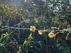 -会稽山峡洞漂流-上青古道