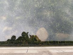 -尚贤河湿地