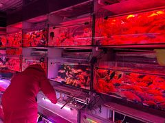 -花鸟鱼虫鲜花绿植市场(玉泉路店)