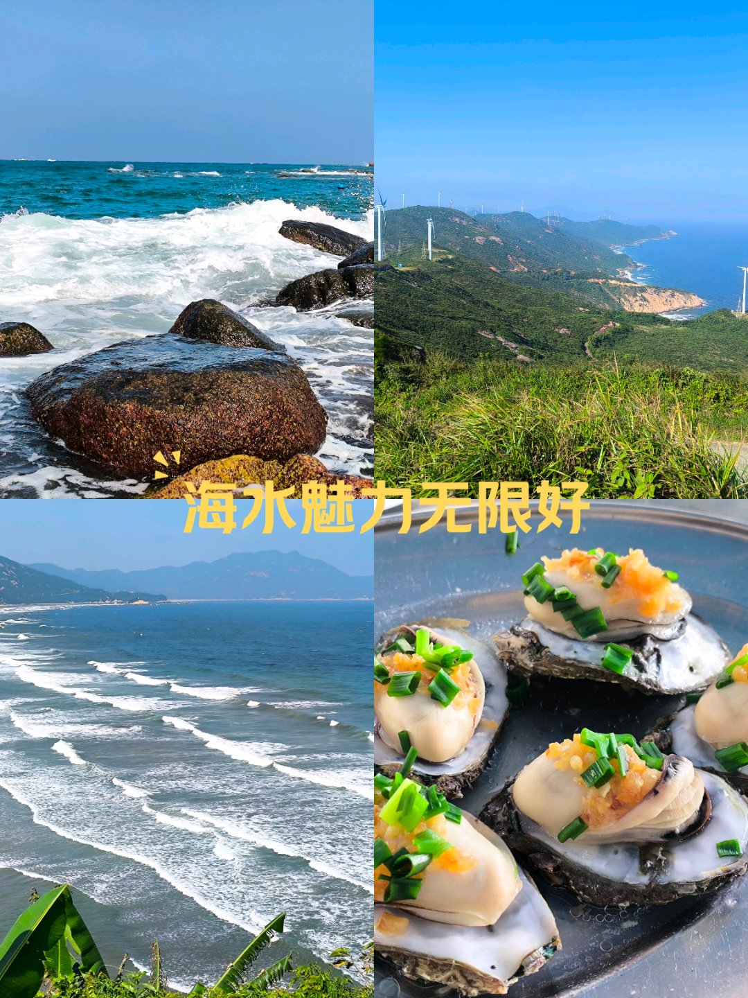 上川岛简介图片