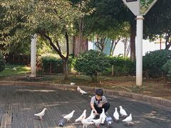 -南昌之星摩天轮