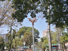 -金砂公园