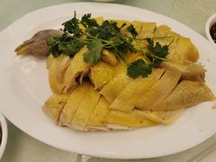 湛江大扇鸡-金苑海鲜酒家(新港中路店)