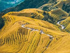 -龙脊梯田风景名胜区游客中心-停车场