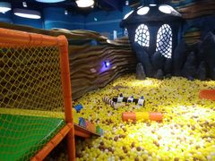 -绍兴梦享海洋公园