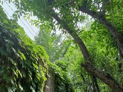 -boundaries籬苑(瑞光创意工厂-贰号院店)