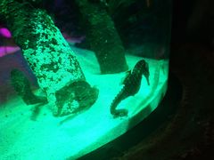 -沈阳海洋探索中心