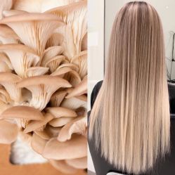 -SEBASTIAN塞巴斯汀