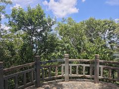 -紫金山山顶公园