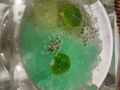 -叶叶菩提·晋福宫