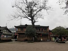 -雅安上里古镇