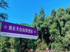 -天台山景区
